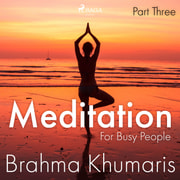 Meditation For Busy People – Part Three - äänikirja