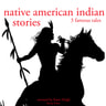 3 American Indian Stories - äänikirja