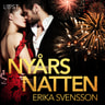 Erika Svensson - Nyårsnatten - erotisk novell