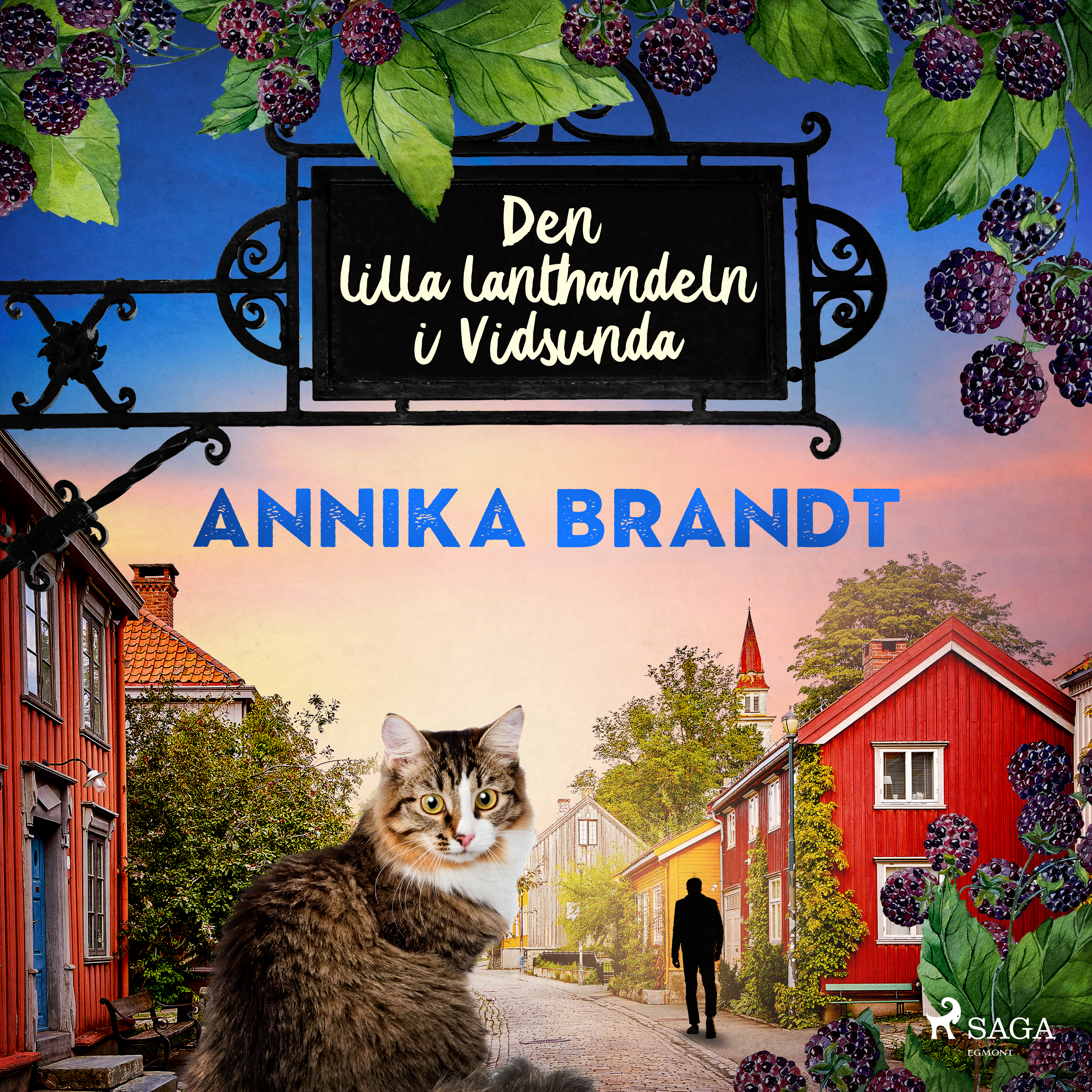 Annika Brandt - Den lilla lanthandeln i Vidsunda