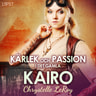 Kärlek och passion i det gamla Kairo - erotisk novell - äänikirja