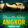 Vanessa Salt - Angkor 3: Murrettu lukko - eroottinen novelli