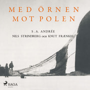 Knut Frænkel, Nils Strindberg, S. A. Andrée - Med örnen mot polen
