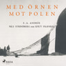 Knut Frænkel, Nils Strindberg, S. A. Andrée - Med örnen mot polen
