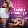 Sophies utmaningar 3: Justine - erotisk novell - äänikirja