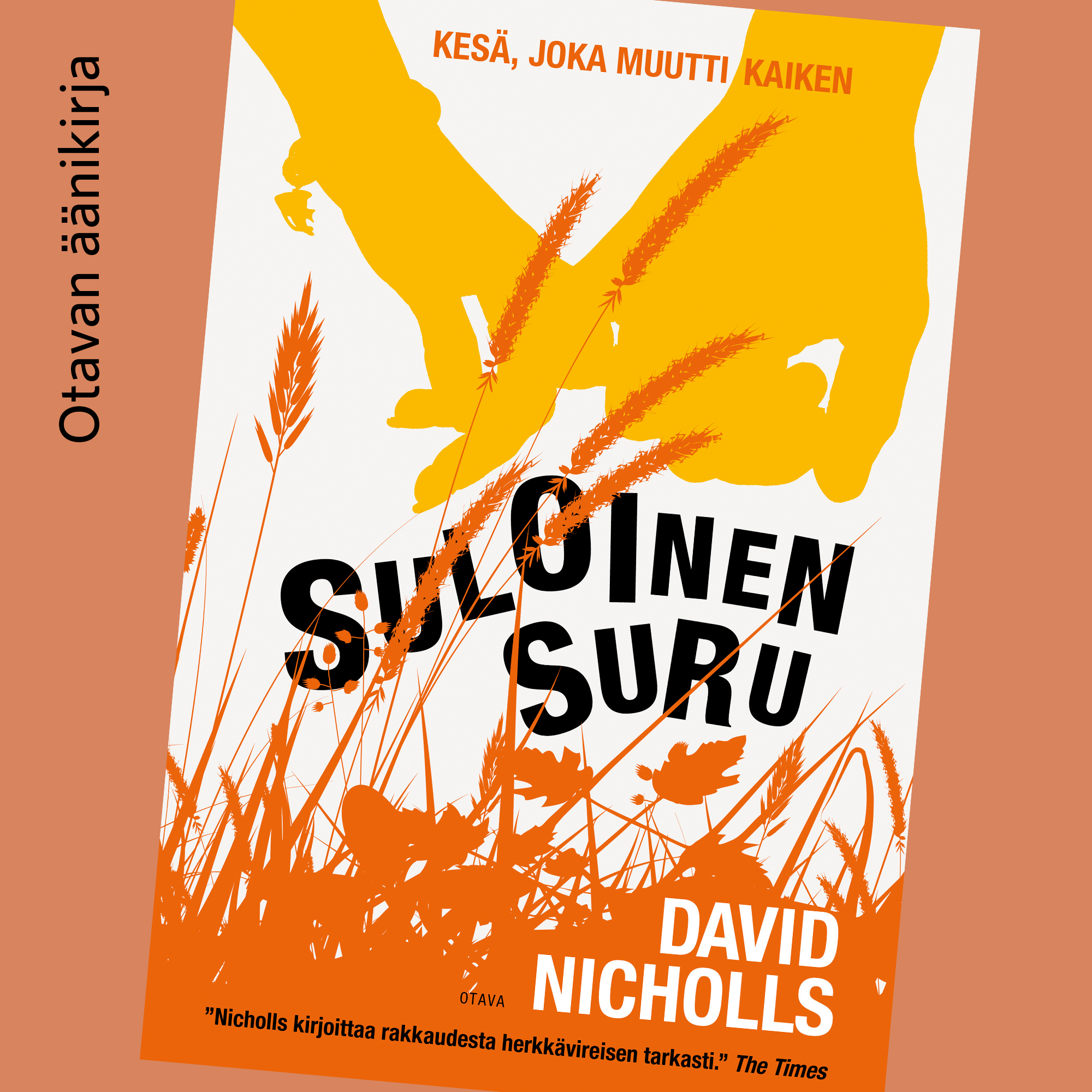 David Nicholls - Suloinen suru