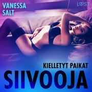 Vanessa Salt - Kielletyt paikat: Siivooja - eroottinen novelli