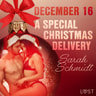 Sarah Schmidt - December 16: A Special Christmas Delivery – An Erotic Christmas Calendar