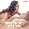 The School of Love - äänikirja