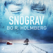 Bo R. Holmberg - Snögrav