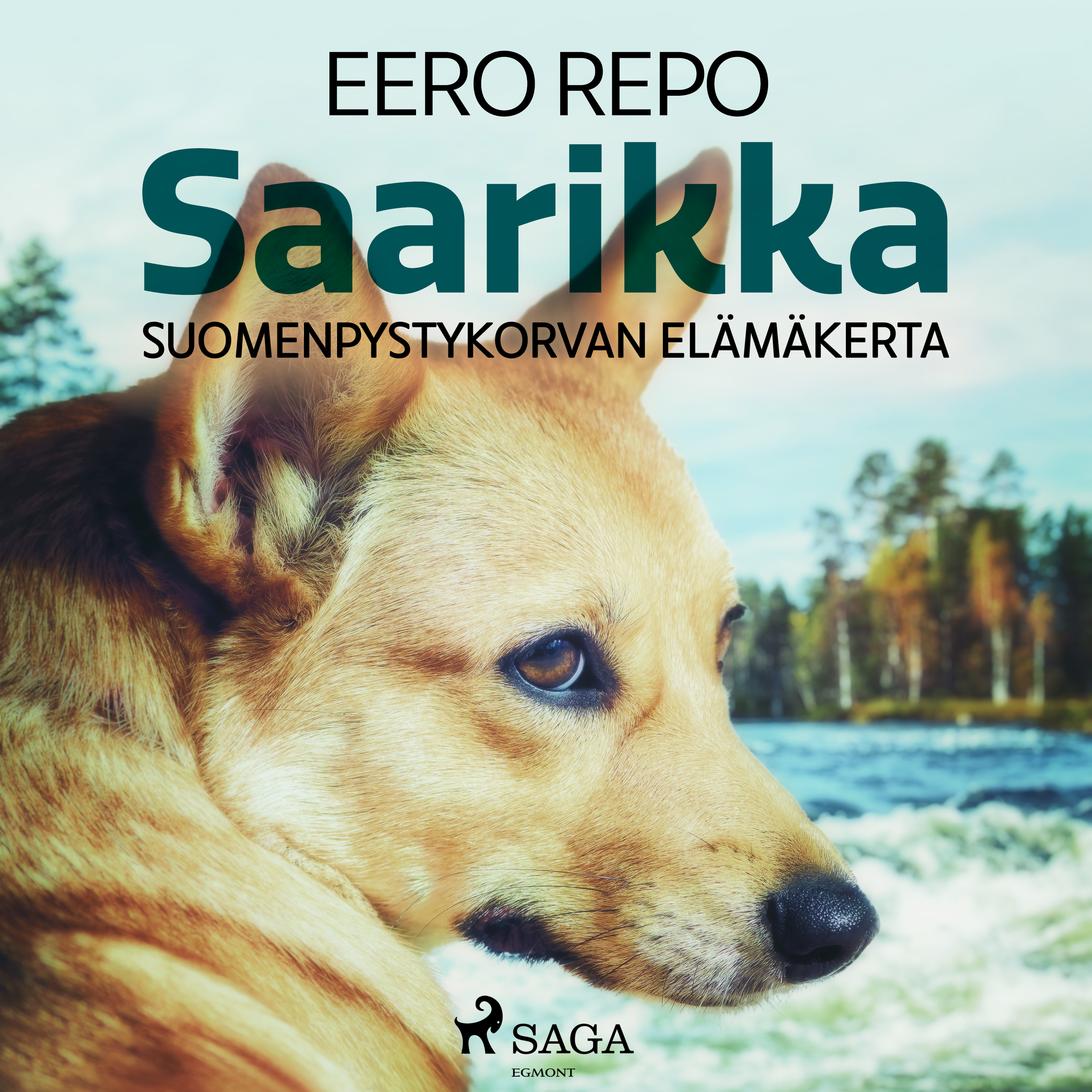 Eero Repo - Saarikka
