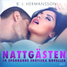 B. J. Hermansson - Nattgästen - 10 spännande erotiska noveller