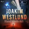 Joakim Westlund - Bland blinda skär