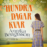 Annika Bengtsson - Hundra dagar kvar