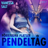 Vanessa Salt - Förbjudna platser: Pendeltåg - erotisk novell