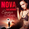Nova 8: Salaisuus – eroottinen novelli - äänikirja