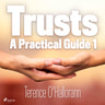 Terence O'Hallorann - Trusts – A Practical Guide 1