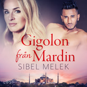 Gigolon från Mardin - erotisk novell - äänikirja