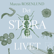 Marcus Rosenlund - Det stora lilla livet