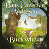 Hans Christian Andersen - The Buckwheat