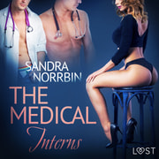 The Medical Interns - erotic short story - äänikirja