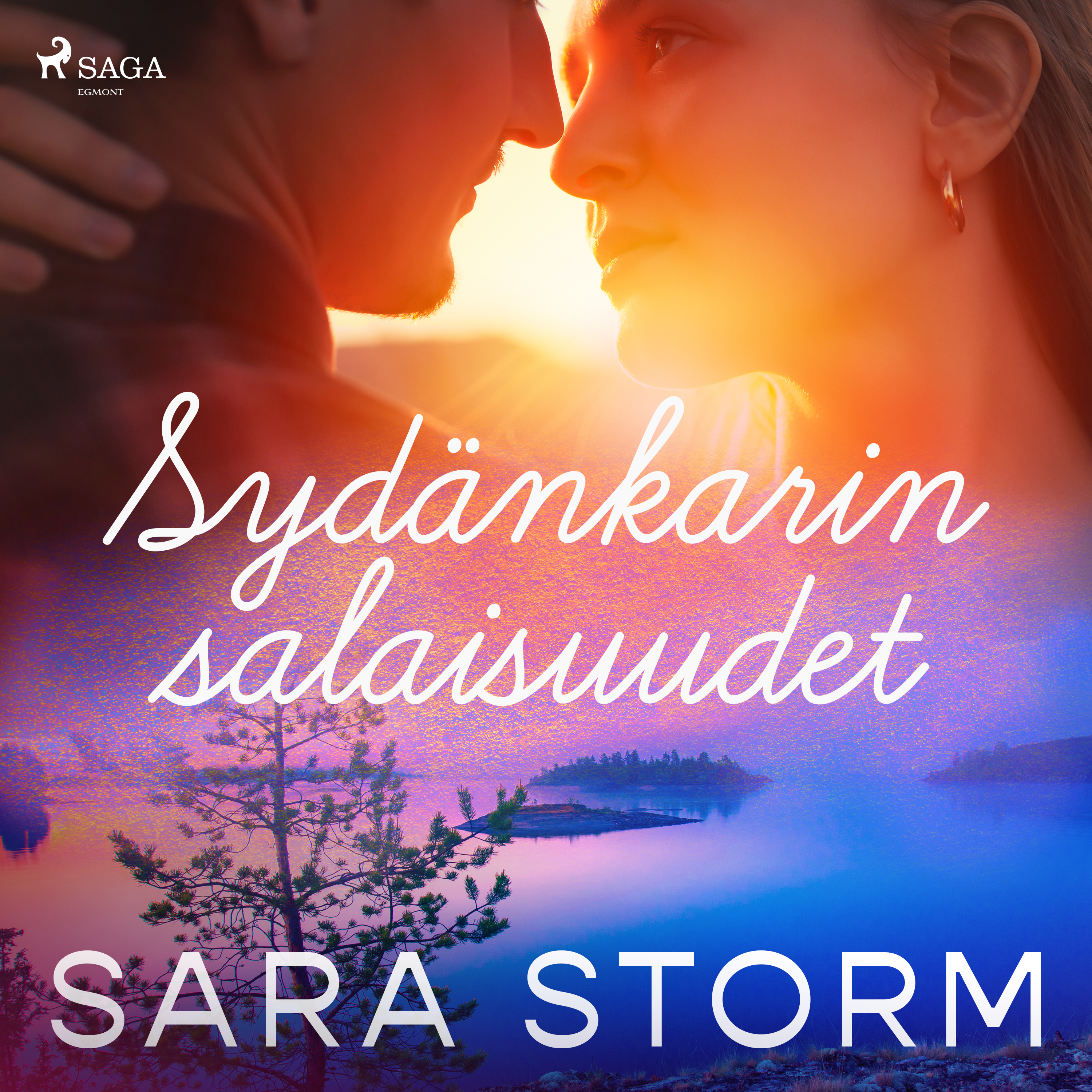 Sara Storm - Sydänkarin salaisuudet