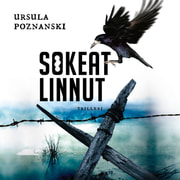 Ursula Poznanski - Sokeat linnut