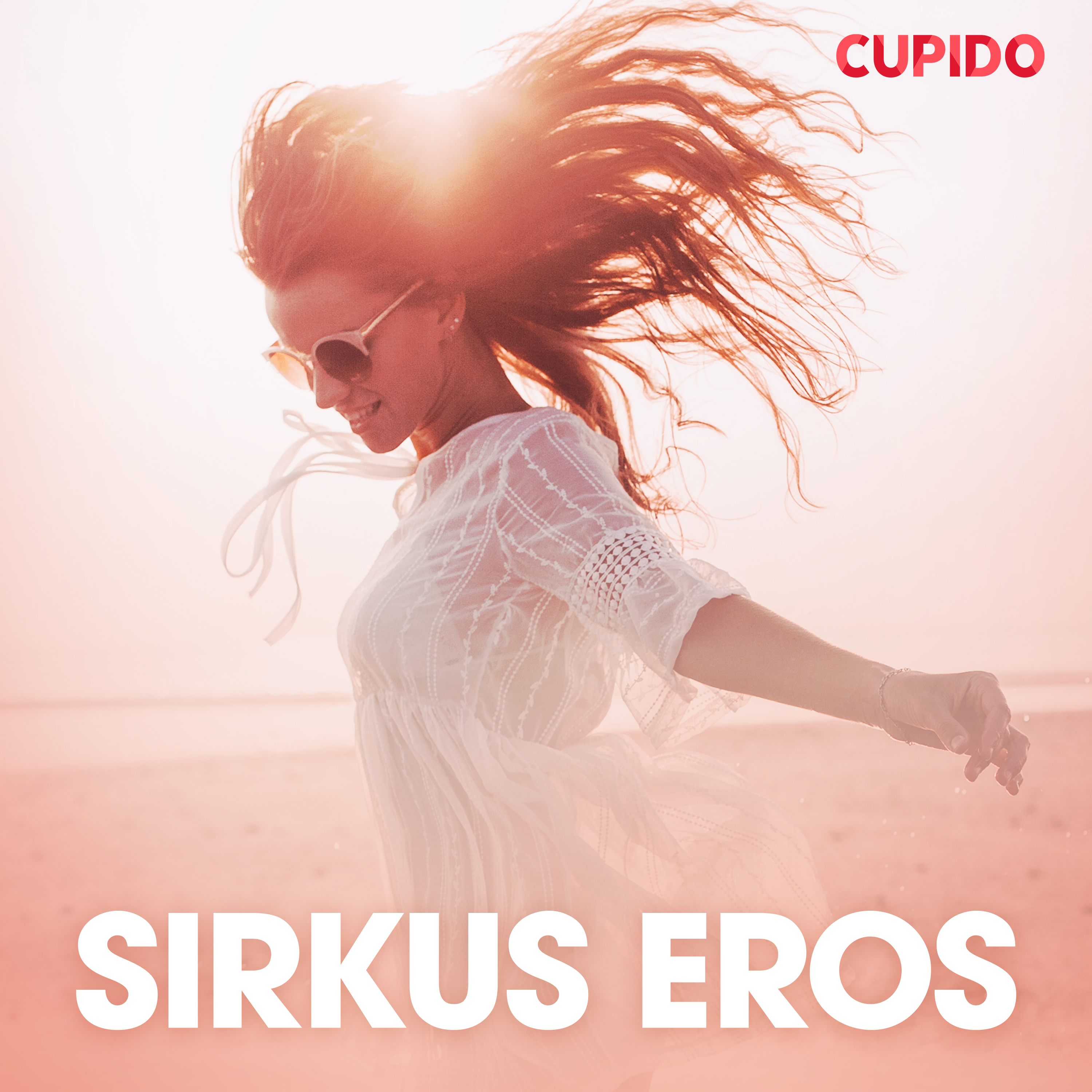 Cupido - Sirkus Eros – eroottinen novelli