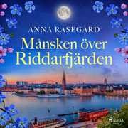 Anna Rasegård - Månsken över Riddarfjärden