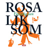 Rosa Liksom - Väliaikainen