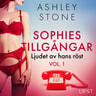 Ashley B. Stone - Sophies tillgångar vol. 1: Ljudet av hans röst - erotisk novell