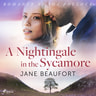 A Nightingale in the Sycamore - äänikirja