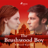 The Brushwood Boy - äänikirja