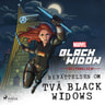 Black Widow - Begynnelsen - Berättelsen om två Black Widows - äänikirja