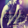 Födelsedag i Norge - erotisk novell - äänikirja