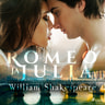 William Shakespeare - Romeo ja Julia