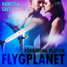 Vanessa Salt - Förbjudna platser: Flygplanet