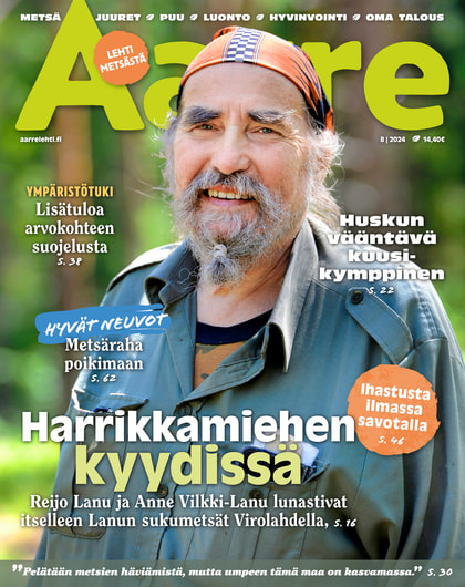 Kansikuva näköislehdelle Aarre