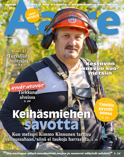 Kansikuva näköislehdelle Aarre