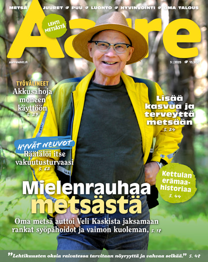 Kansikuva näköislehdelle Aarre