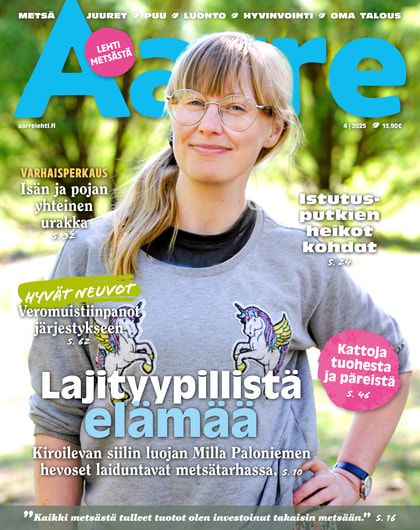 Kansikuva näköislehdelle Aarre