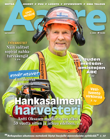 Kansikuva näköislehdelle Aarre