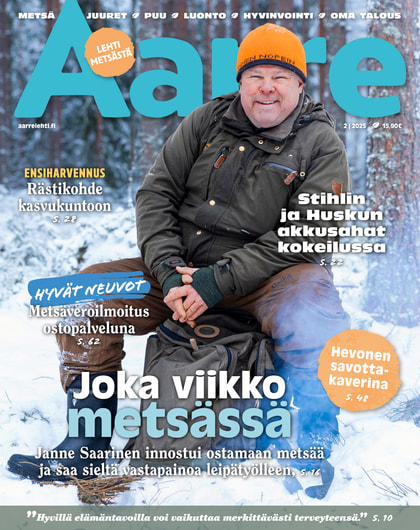 Kansikuva näköislehdelle Aarre