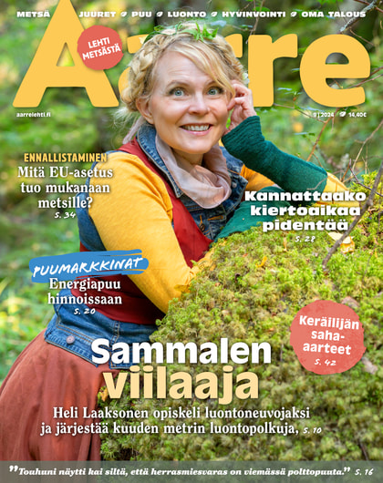 Kansikuva näköislehdelle Aarre