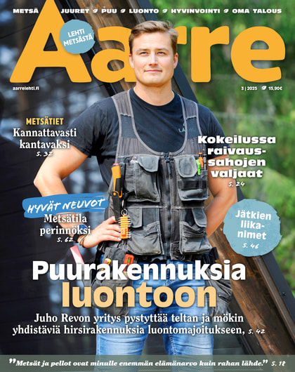 Kansikuva näköislehdelle Aarre