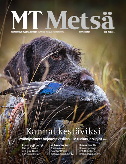 Kansikuva näköislehdelle MT Metsä