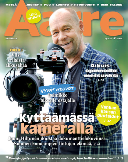 Kansikuva näköislehdelle Aarre