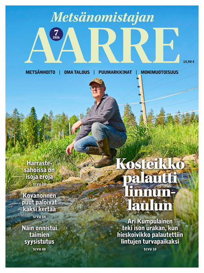 Kansikuva näköislehdelle Aarre