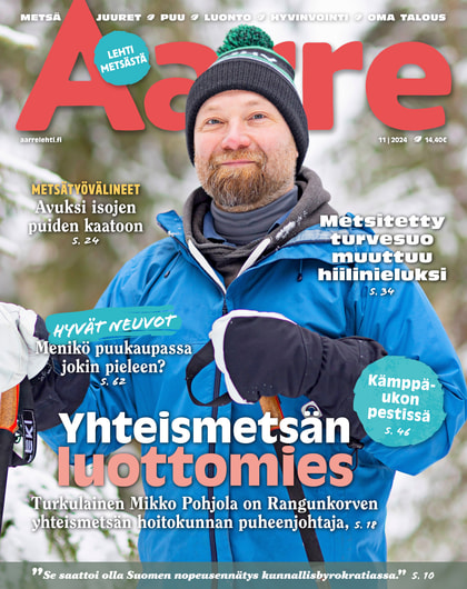 Kansikuva näköislehdelle Aarre