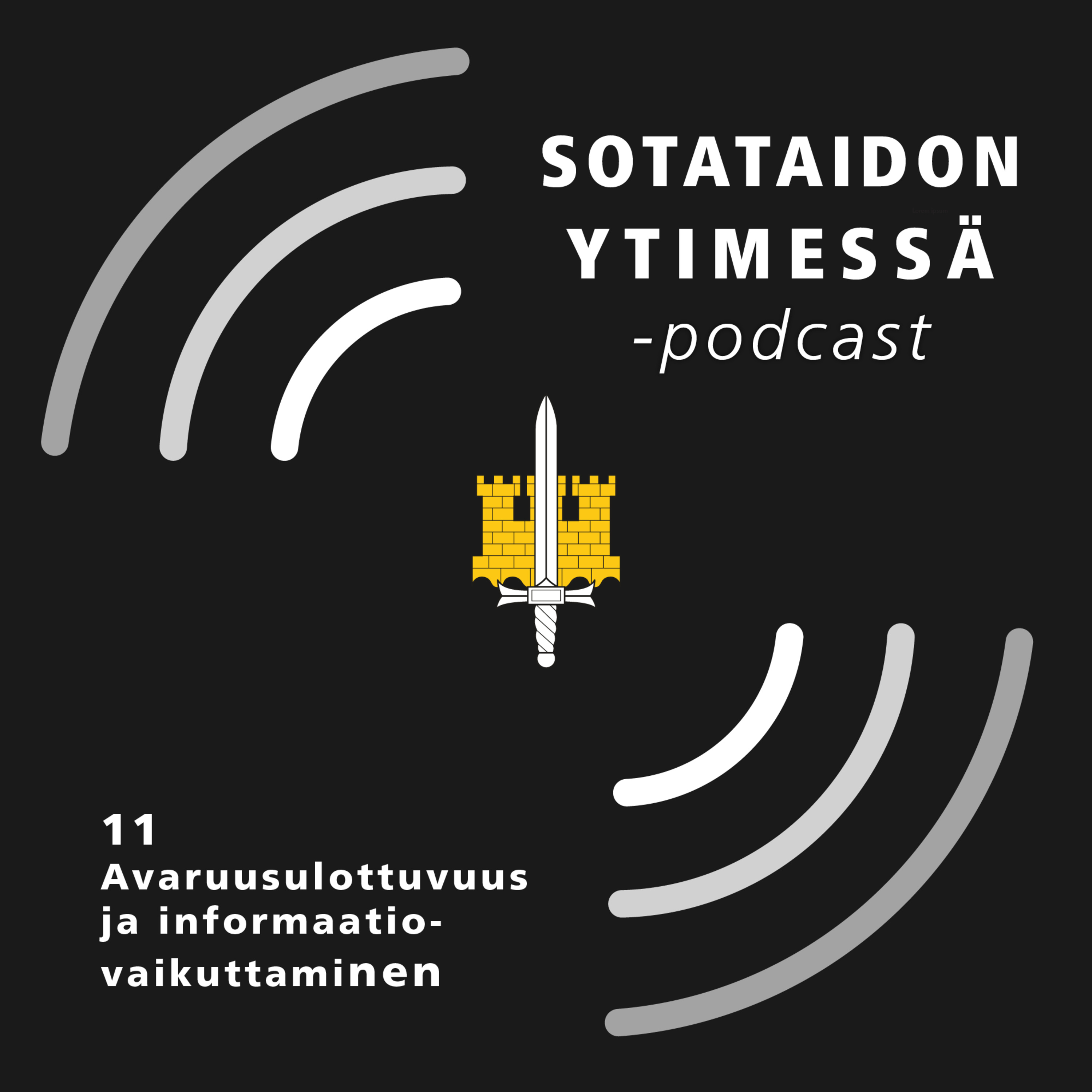 11 Avaruusulottuvuus ja informaatiovaikuttaminen